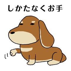 Dog Samurai My Name Hachi By Ganbariya Dog Samurai My Name Hachi By Ganbariya