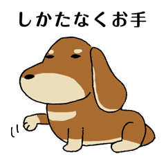 Dog sticker [Dachshund]