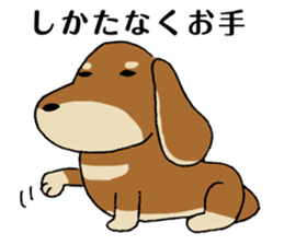 Dog sticker [Dachshund] sticker #920401