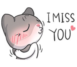 Meow Special Greetings sticker #920461