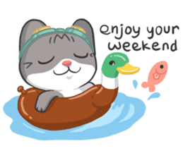 Meow Special Greetings sticker #920462