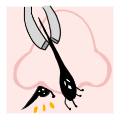 hair root to routine