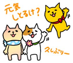 Kanazawa Cats sticker #922839