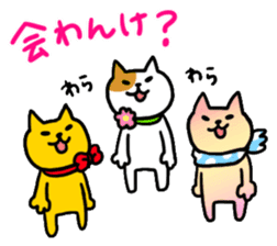 Kanazawa Cats sticker #922842