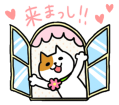 Kanazawa Cats sticker #922845