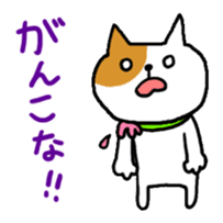 Kanazawa Cats sticker #922847