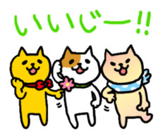 Kanazawa Cats sticker #922858