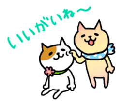 Kanazawa Cats sticker #922863