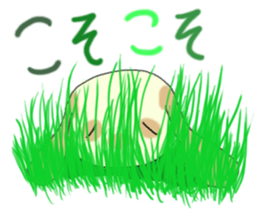 Lop ear rabbits ver.Spotted sticker #922899