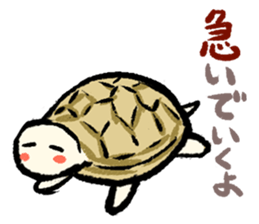 Pate & Pany(Rabbit & turtle/Japanese) sticker #923743
