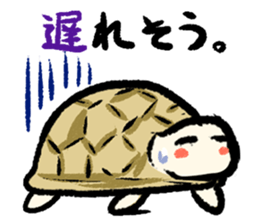 Pate & Pany(Rabbit & turtle/Japanese) sticker #923746