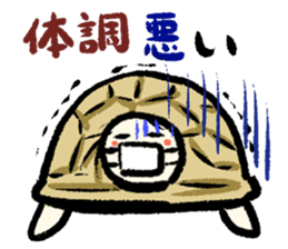 Pate & Pany(Rabbit & turtle/Japanese) sticker #923747