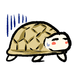 Pate & Pany(Rabbit & turtle/English) sticker #925386