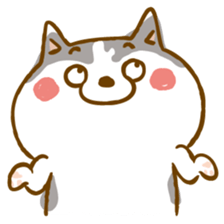 Scary face Siberian Husky sticker #925841