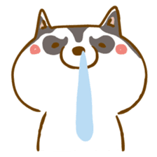 Scary face Siberian Husky sticker #925850