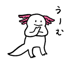 Axolotl sticker #925901