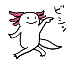Axolotl sticker #925902