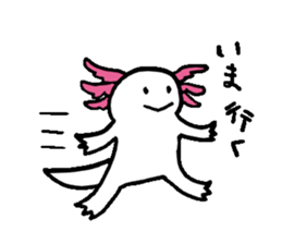 Axolotl sticker #925905
