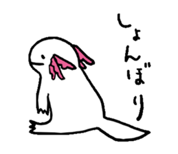 Axolotl sticker #925906