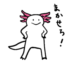 Axolotl sticker #925912