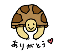 tortoises sticker #926401