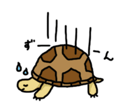 tortoises sticker #926408