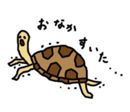 tortoises sticker #926415