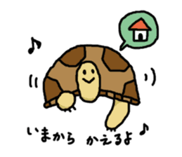 tortoises sticker #926417