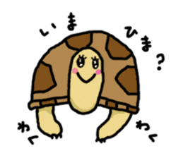 tortoises sticker #926425
