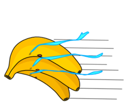 FCVF(Funny Cute Vegetables and Fruits) sticker #926894