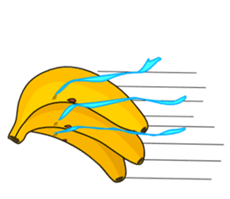 FCVF(Funny Cute Vegetables and Fruits) sticker #926894