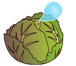 FCVF(Funny Cute Vegetables and Fruits) sticker #926896