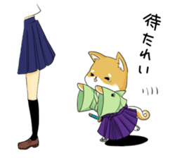 Dog Samurai My name Hachi. sticker #928524