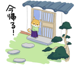 Dog Samurai My name Hachi. sticker #928530