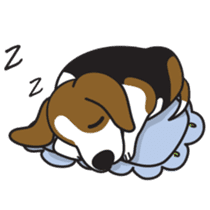 Porjai Beagle Dog sticker #933646