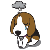 Porjai Beagle Dog sticker #933649