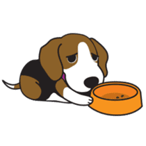 Porjai Beagle Dog sticker #933653