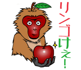 Japanese Macaque!? sticker #934695