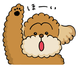 CHACO is a toy poodle sticker #935000