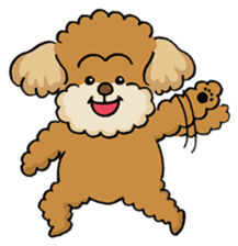 CHACO is a toy poodle sticker #935002