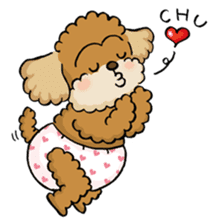 CHACO is a toy poodle sticker #935009