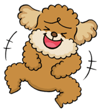 CHACO is a toy poodle sticker #935014