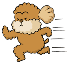 CHACO is a toy poodle sticker #935027