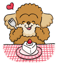CHACO is a toy poodle sticker #935030