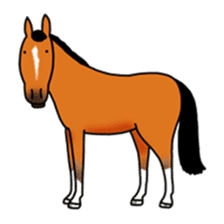 Juri Ogawa's HORSE Stickers sticker #937279