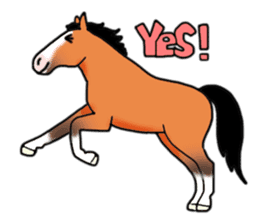Juri Ogawa's HORSE Stickers sticker #937283