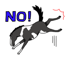 Juri Ogawa's HORSE Stickers sticker #937284