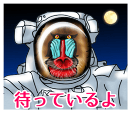 CANJOSAN2 sticker #939213