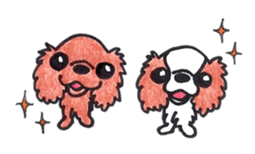 Cavalier King Charls Spaniel Sticker 2 sticker #939520