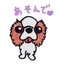 Cavalier King Charls Spaniel Sticker 2 sticker #939527